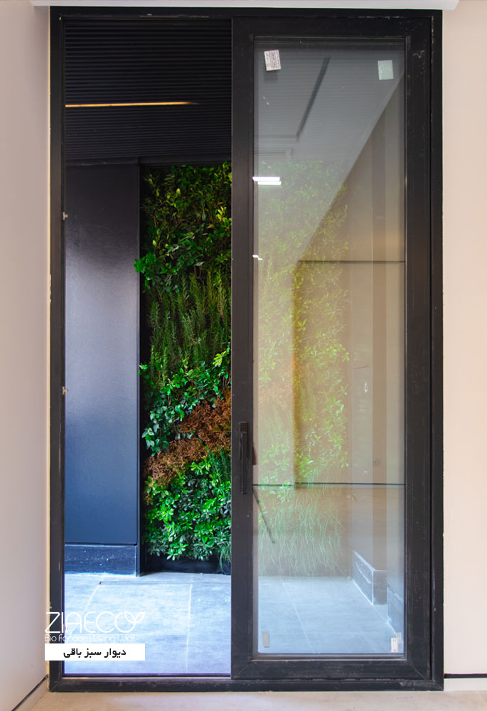 دیوار سبز یا گرین وال ضیااکو به روش هیدروپونیک در تراس های یک ساختمان 5طبقه که توسط دکتر علیرضا تغابنی طراحی شده است