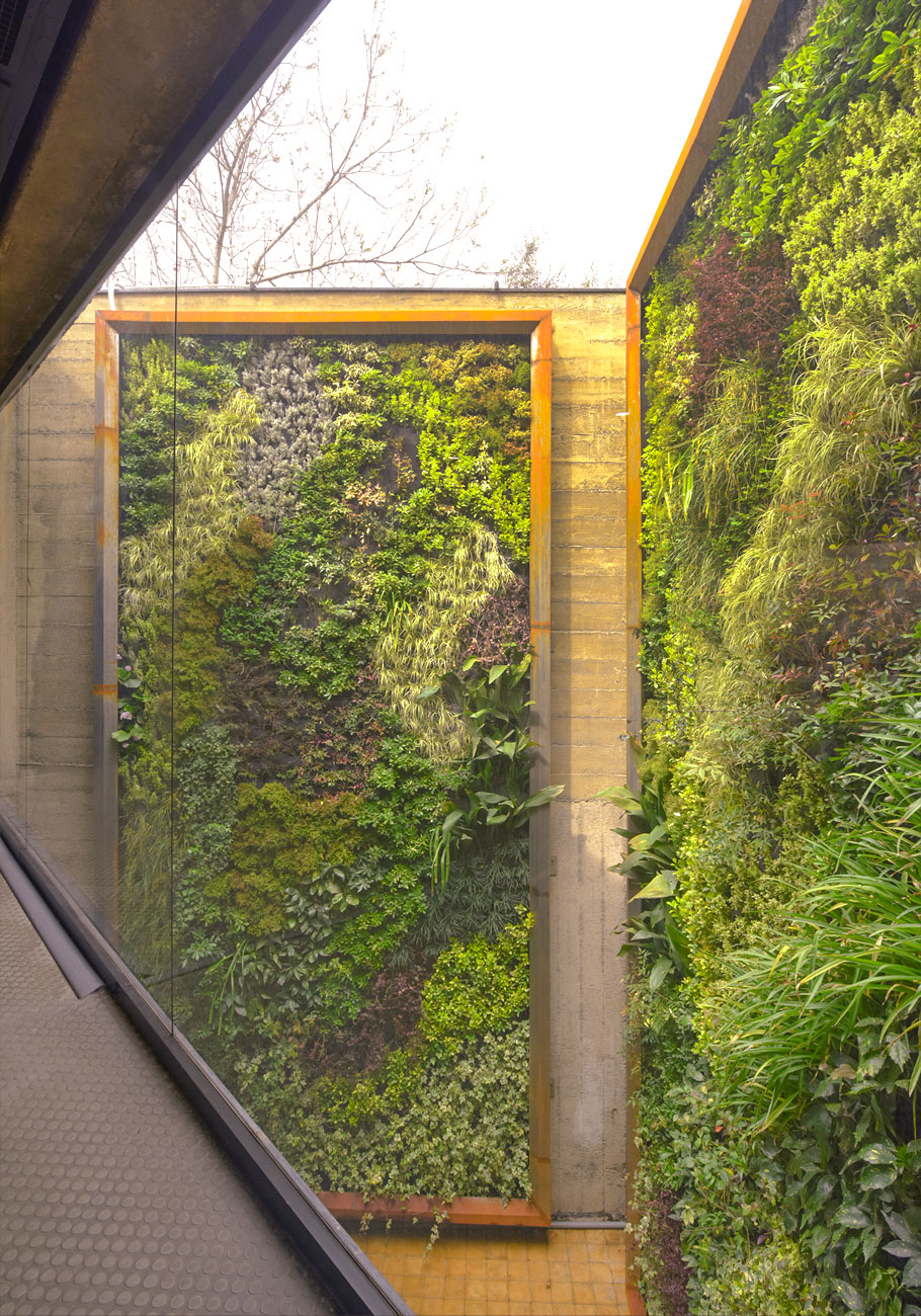 دیوار سبز ضیااکو در موزه هنر های معاصر تهران همچون یک اثر هنری می درخشد